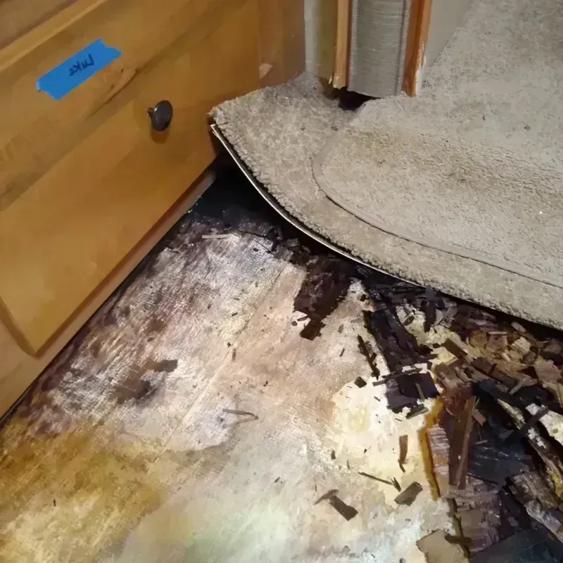 Wood Floor Water Damage in Stillwater, MN